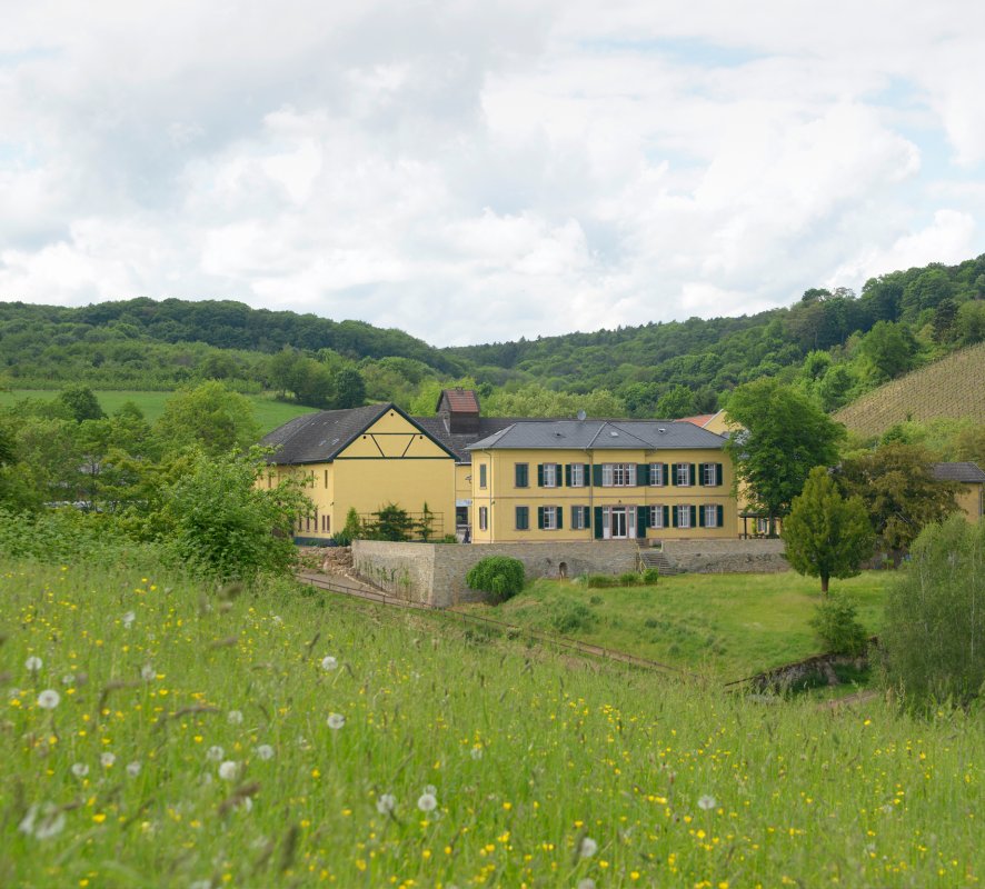 Lernbauernhof Pferdepension Aktivstall Herberge Rhein Main Gebiet